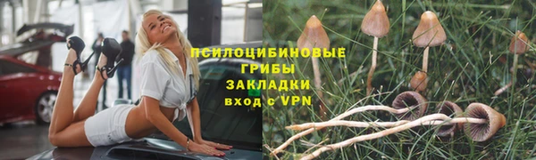 ECSTASY Сосновый Бор